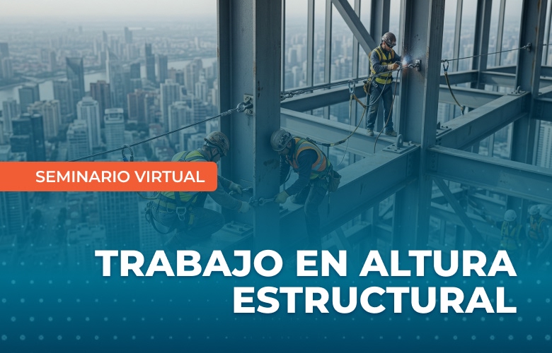 Galería Web -Trabajo en Altura Estructural1